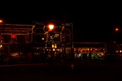 DSC_3146 (Large).JPG